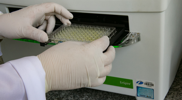 Graduação UFTM - Uberaba 